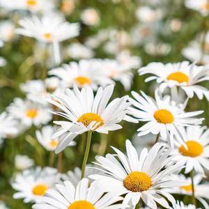 至少还有你remix（not only you）