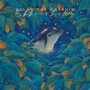 Dylan The Dolphin