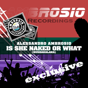 Is She Naked Or What (Bushakalaka) (Original Mix)