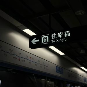 感知幸福（英文版）