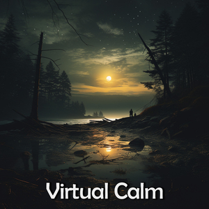 Healthy Spleen & Blood Regulation Binaural Beats