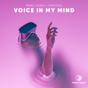 Voice In My Mind (Extended Mix)