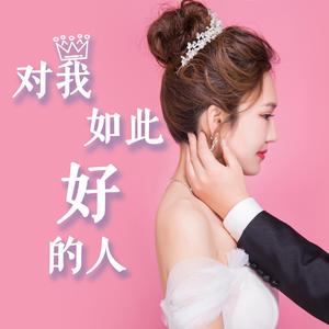 王媛渊-对我如此好的人（钢笔新之助 remix）