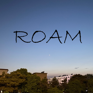 Roam（Prod By Gayuaaa~on5）