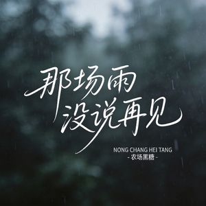 那场雨没说再见（原版）