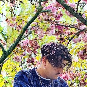 Pineapple Breez (Remix) (feat. Søren Karim, Loke Deph & Aalen)