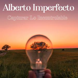 Mariposas Y Libélulas