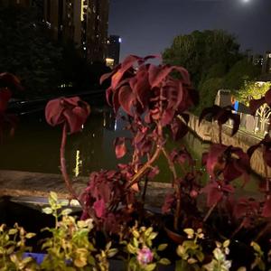 故事开始在那年寒冬