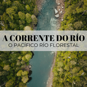 Riacho Das Cataratas