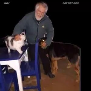 Guitar Solo Two Cat Net Dog (Drumless)