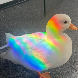 踮起脚尖够月亮