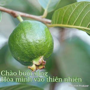 Chúc Người Thân Yêu Ngày Mới An Lành