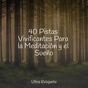 Soñar Sin Preocupaciones