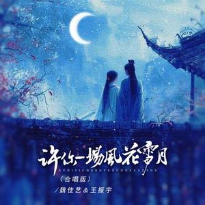 许你一场风花雪月 (DJ版)