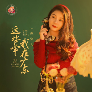 燕宝儿这些年我在广东(DJ版)
