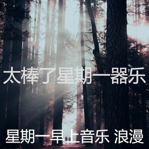 抚慰的加工回忆