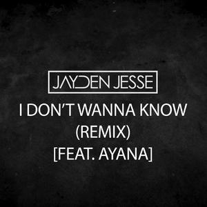 I Don't Wanna Know (feat. Ayana) (Remix) (Remix)