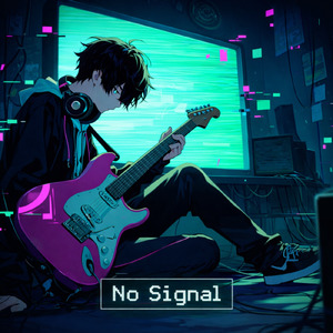 No Signal