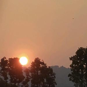 夕阳映照着路灯昏黄色的光