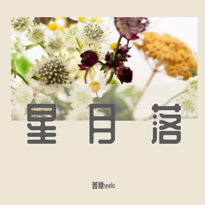 星月落