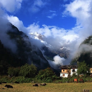 兄弟想你了（Blues)