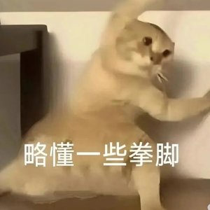 走马（cover陈粒）