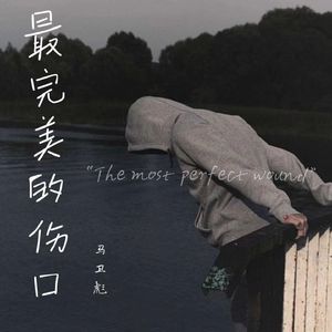 最完美的伤口