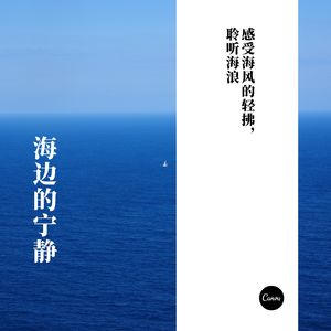 雪花的舞蹈 (曲笛)