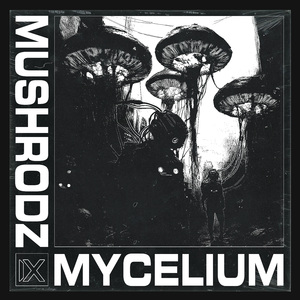 Mycelium