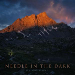 Needle in the Dark
