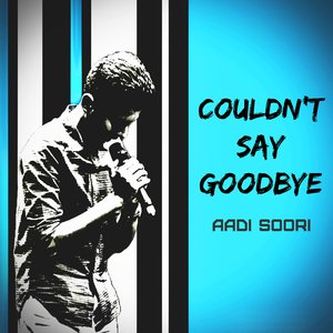 Couldn't Say Goodbye