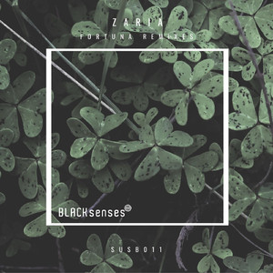 Fortuna (Ricardo Luiz Remix)