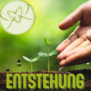Entstehung