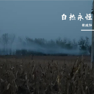 第二人生