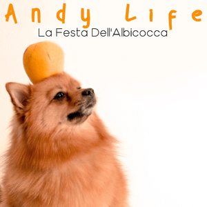 La Festa Dell'Albicocca (Instrumandy)