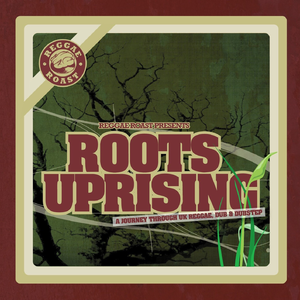 Digital Rock (feat. Brother Culture)