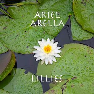 Waterlillies