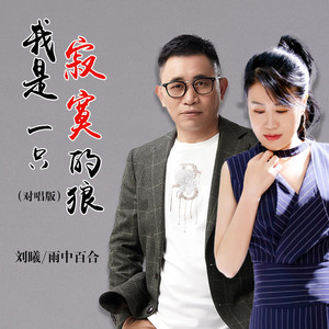 我是一只寂寞的狼