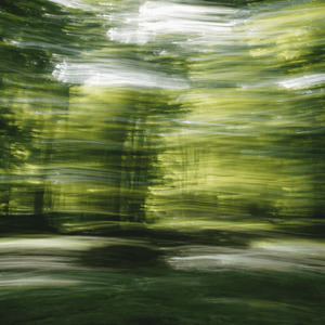 When the Wind Remembers