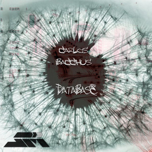 Database (Original Mix)