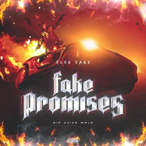Fake Promises