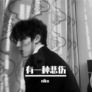 有一种悲伤（Cover黄丽玲）