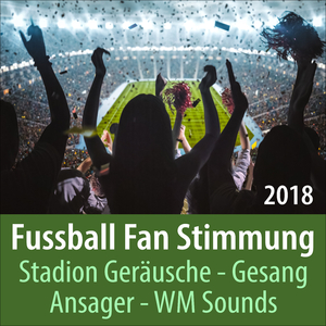 Jetzt geht's los - Menge singt und schreit im Fussballstadion