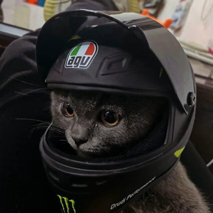 珊瑚颂（二胡曲）