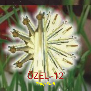 Yapamazsın Gönlümü