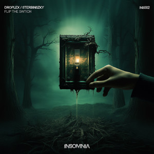 Flip The Switch (Original Mix)