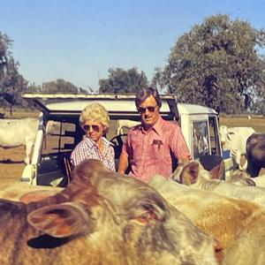 Cowboy Like You (feat. Molly Parden)