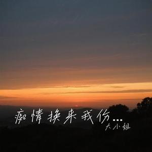 痴情换来我伤心 (Cover 洋澜一)