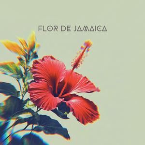 Flor de Jamaica