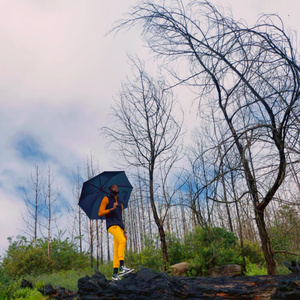 Solitude